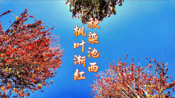 8a02a603-0fd5-426a-8854-6b9a8c9a7cd5_副本.png